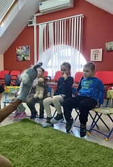 ����������� 11